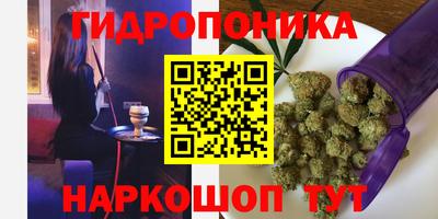 ГАЛЛЮЦИНОГЕННЫЕ ГРИБЫ Кулебаки