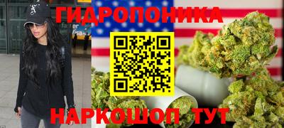 ГАЛЛЮЦИНОГЕННЫЕ ГРИБЫ Кулебаки